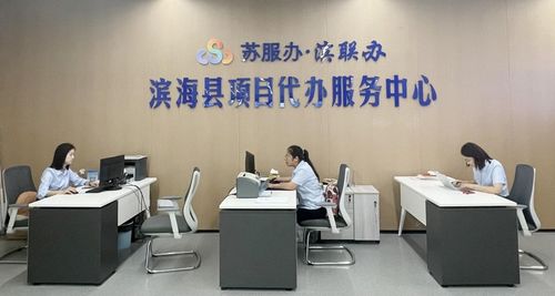 濱海持續(xù)擦亮“濱聯(lián)代辦”服務品牌，提升商務代理代辦服務水平